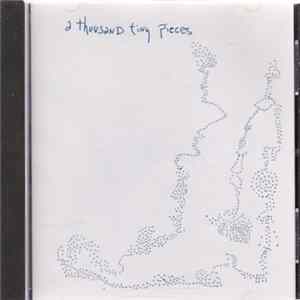 Sean Hayes - A Thousand Tiny Pieces Mp3