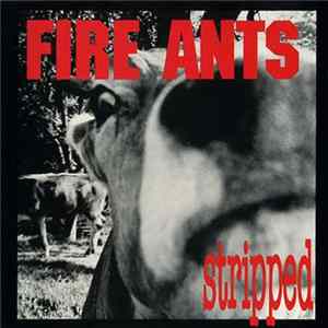 Fire Ants - Stripped Mp3