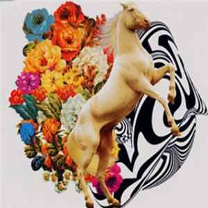 Zeppet Store - Tightrope Mp3