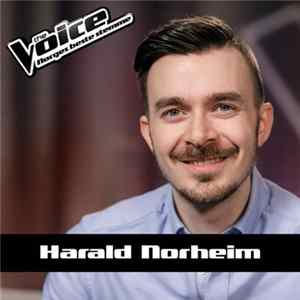 Harald Norheim - Somebody To Love Mp3