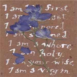 The Whip Angels - Thunder, Perfect Mind Mp3