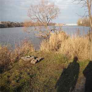 Agostino Scafidi - Splashes Of Light Mp3