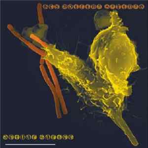 Red Boiling Springs - Actual Malice Mp3