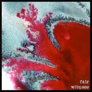 Fair Witness - Captive Audience Mp3