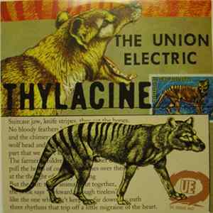 The Union Electric - Thylacine/Bugs Mp3
