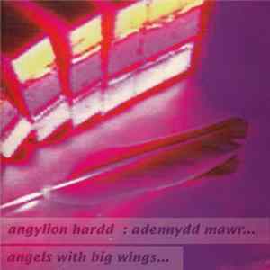 Various - Angylion Hardd : Adennydd Mawr - Angels With Big Wings Mp3