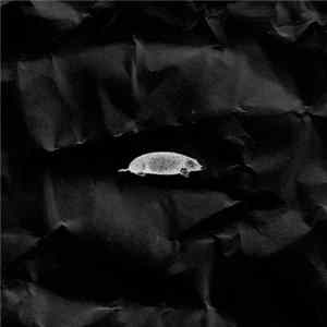 Gillicuddy - Music For Moles Mp3