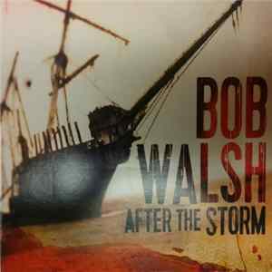 Bob Walsh - After The Storm Mp3