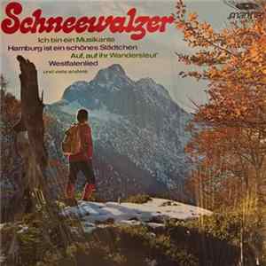 Die Mathäser - Schneewalzer Mp3