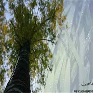 Madstyle - Fine Sounding Seasons Mp3