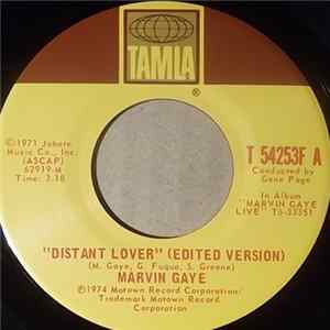 Marvin Gaye - Distant Lover Mp3