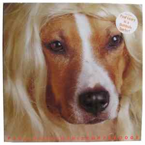Paul Leary - The History Of Dogs Mp3