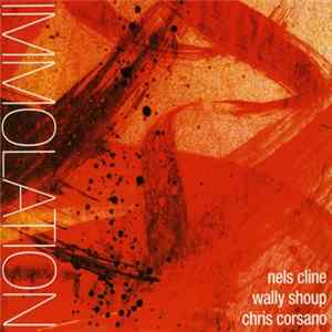 Nels Cline • Wally Shoup • Chris Corsano - Immolation / Immersion Mp3