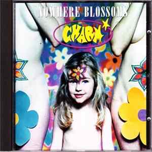 Nowhere Blossoms - Charm Mp3