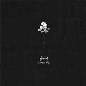 A Singer Of Songs - Fading Mp3