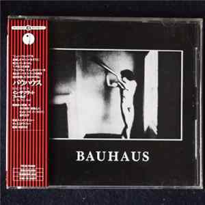 Bauhaus - In The Flat Field Mp3