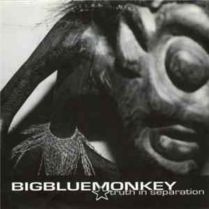 bigbluemonkey - Truth In Separation Mp3