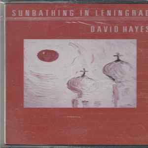 David Hayes - Sunbathing In Leningrad Mp3