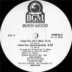 Black Wood - I Feel You Mp3