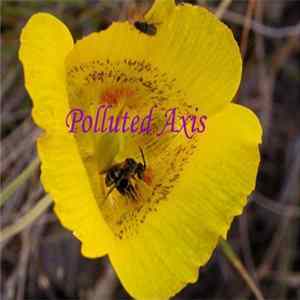 Polluted Axis - A Day In The Life Of... Mp3