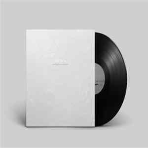 The BV's - Speaking From A Distance Mp3