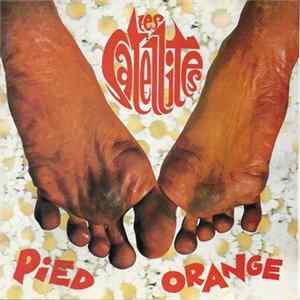 Les Satellites - Pied Orange Mp3