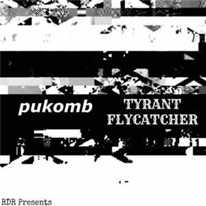 Tyrant Flycatcher / Pukomb - Split Mp3
