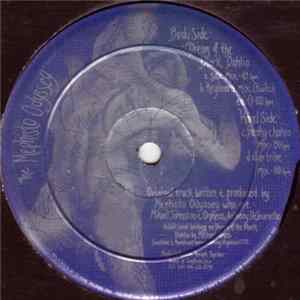 The Mephisto Odyssey - Dream Of The Black Dahlia Mp3