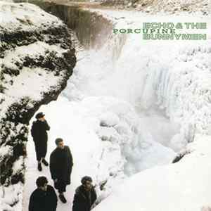 Echo & The Bunnymen - Porcupine Mp3