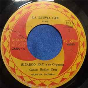 Ricardo Ray Orchestra - La Lluvia Del Cae Mp3