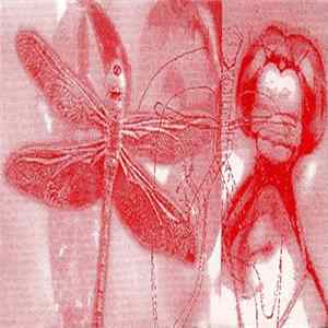 New Analysts - Porcelain Dragonflys Mp3