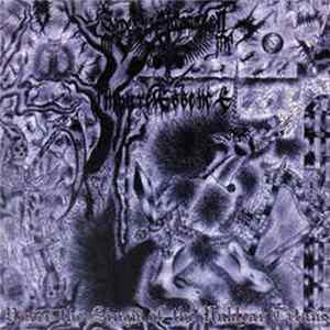 Sadomaso Control / Impure Essence - Under The Sign Of The Nuklear Titans Mp3