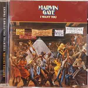 Marvin Gaye - I Want You Mp3