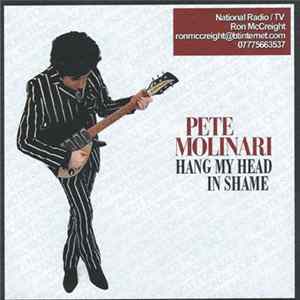 Pete Molinari - Hang My Head In Shame Mp3