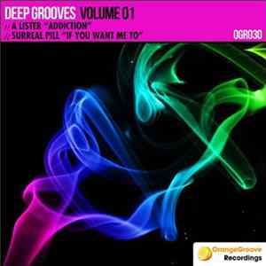 Various - Deep Grooves Vol 1 Mp3