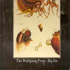 The Wolfgang Press - Big Sex Mp3