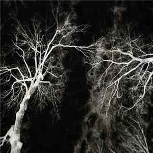 Reflections From Nowhere - Beauty In Decay Mp3