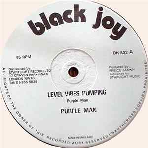 Purple Man - Level Vibes Pumping Mp3