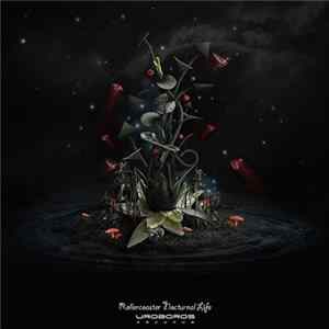 Rollercoaster - Nocturnal Life Mp3