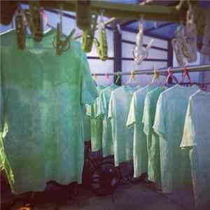 And Protector - Lime Green Mp3