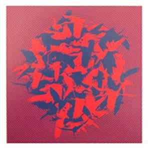 Vibracathedral Orchestra - The Momentary Aviary Mp3