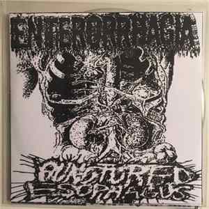Enterorrhagia / Punctured Esophagus - Enterorrhagia/Punctured Esophagus Mp3