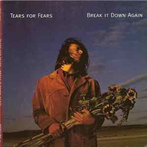 Tears For Fears - Break It Down Again Mp3