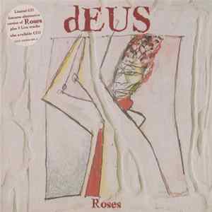 dEUS - Roses Mp3