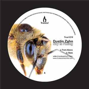Dustin Zahn - Sky Is Falling Mp3