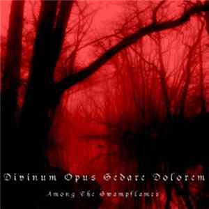 Divinum Opus Sedare Dolorem - Among The Swampflames Mp3