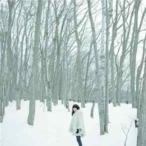 Unii - Poet From The Northern Sea Mp3