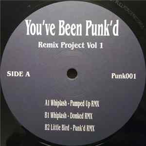 Unknown Artist - You've Been Punk'd Remix Project Vol 1 Mp3