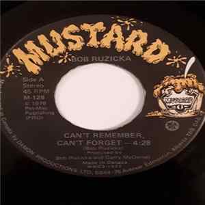 Bob Ruzicka - Can't Remember, Can't Forget Mp3