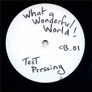 Various - Oi! What A Wonderful World Mp3